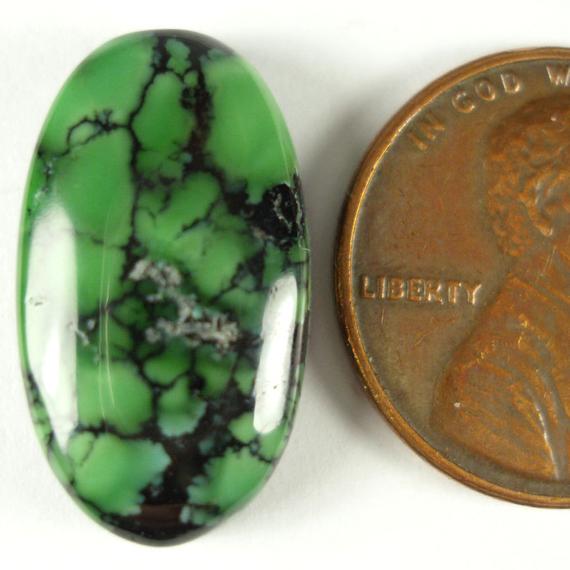 Turquoise Cabochons